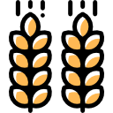 Rs 6000/year as support to small famers
